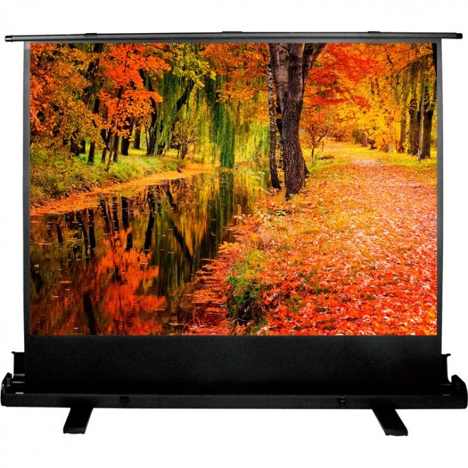 Экран CACTUS FLOOREXPERT , 99", 4:3, напольный, 200x150 см. CS-PSFLE-200X150 Экран CACTUS FLOOREXPERT , 99", 4:3, напольный, 200x150 см. CS-PSFLE-200X150