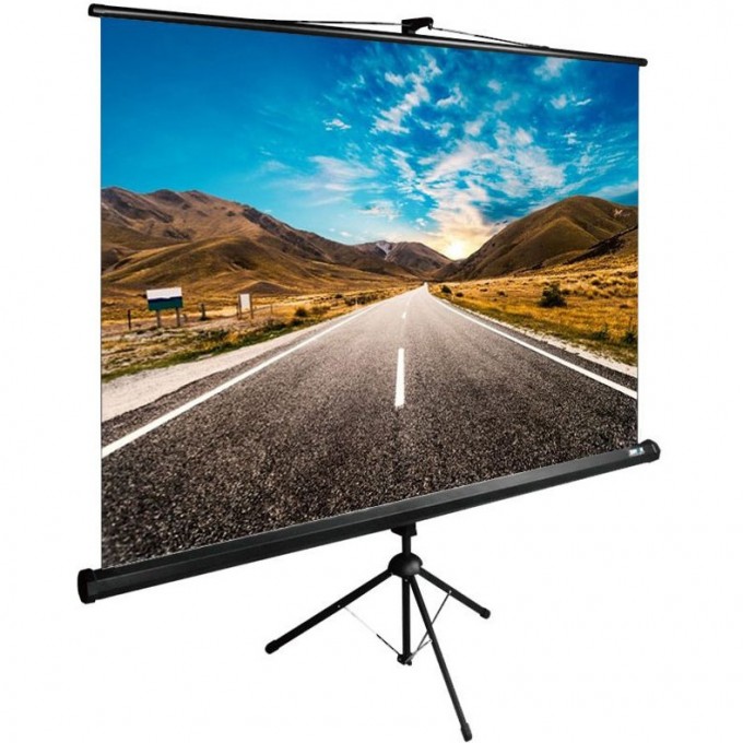 Экран CACTUS TRIEXPERT 92" 1:1 напольный, 160x160 см. CS-PSTE-160X160-BK Экран CACTUS TRIEXPERT 92" 1:1 напольный, 160x160 см. CS-PSTE-160X160-BK