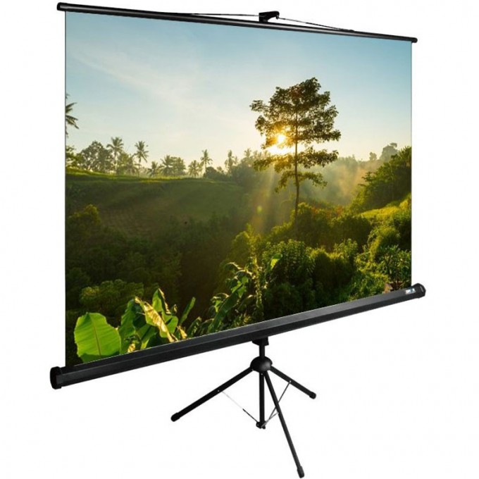Экран CACTUS TRIEXPERT CS-PSTE-200х200-BK 115" 1:1 напольный (200х200 см.) cs-pste-200kh200-bk Экран CACTUS TRIEXPERT CS-PSTE-200х200-BK 115" 1:1 напольный (200х200 см.) cs-pste-200kh200-bk