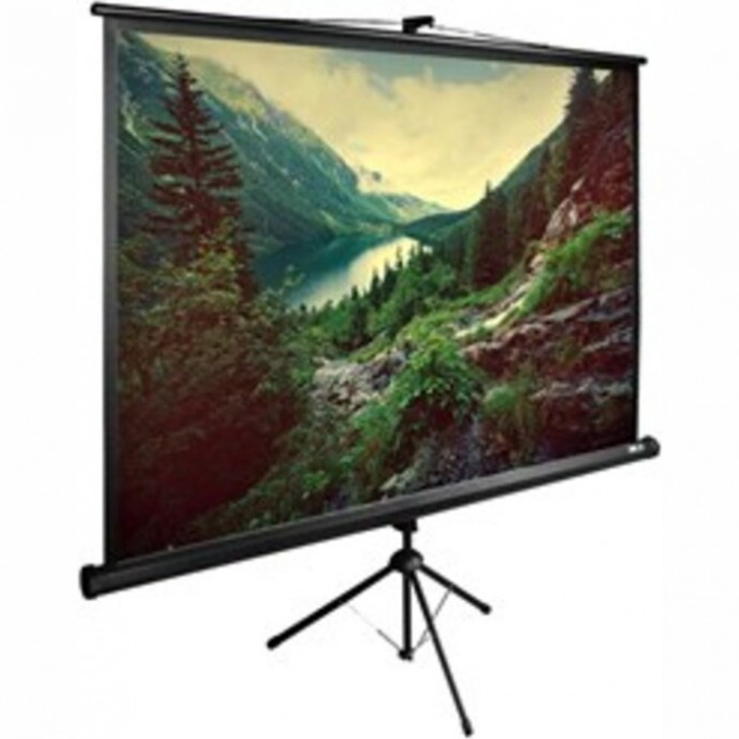 Экран CACTUS TriExpert CS-PSTE-220х220-BK 127" 1:1 напольный, 220х220 см. CS-PSTE-220KH220-BK Экран CACTUS TriExpert CS-PSTE-220х220-BK 127" 1:1 напольный, 220х220 см. CS-PSTE-220KH220-BK