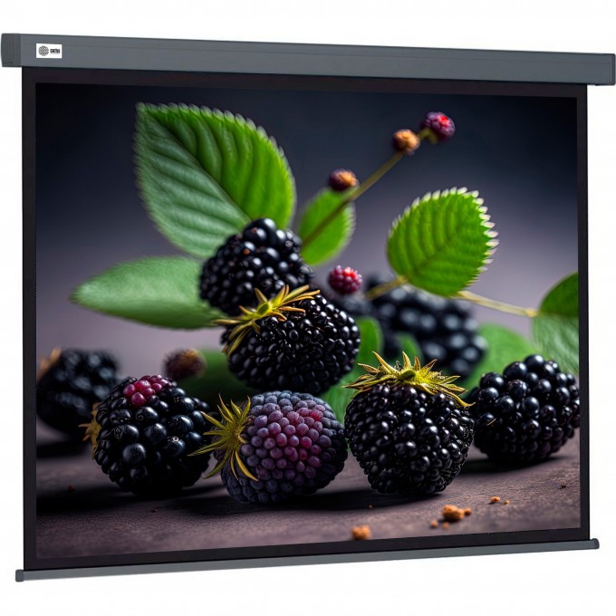 Экран CACTUS WALLSCREEN , 1:1, настенно-потолочный, корпус серый, 127x127 см. CS-PSW-127X127-SG Экран CACTUS WALLSCREEN , 1:1, настенно-потолочный, корпус серый, 127x127 см. CS-PSW-127X127-SG