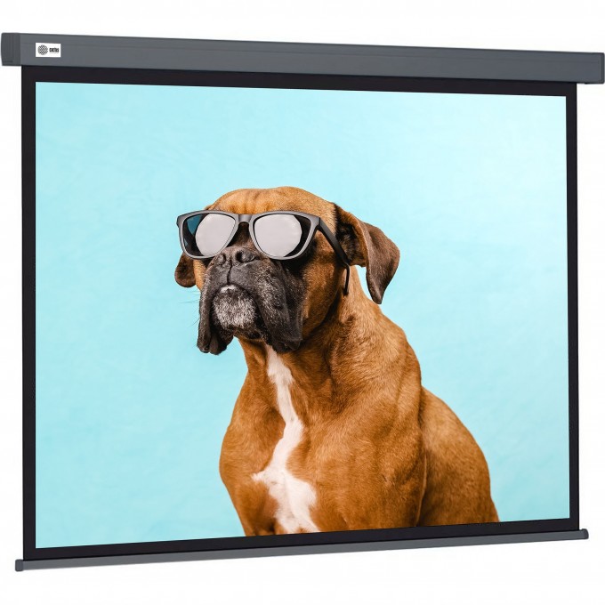 Экран CACTUS WALLSCREEN , 16:9, настенно-потолочный, корпус серый, 149.4x265.7 см. CS-PSW-149X265-SG Экран CACTUS WALLSCREEN , 16:9, настенно-потолочный, корпус серый, 149.4x265.7 см. CS-PSW-149X265-SG