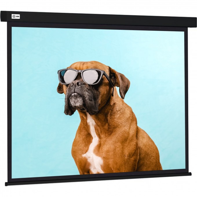 Экран CACTUS WALLSCREEN , 4:3, настенно-потолочный, корпус черный, 183x244 см. CS-PSW-183X244-BK Экран CACTUS WALLSCREEN , 4:3, настенно-потолочный, корпус черный, 183x244 см. CS-PSW-183X244-BK