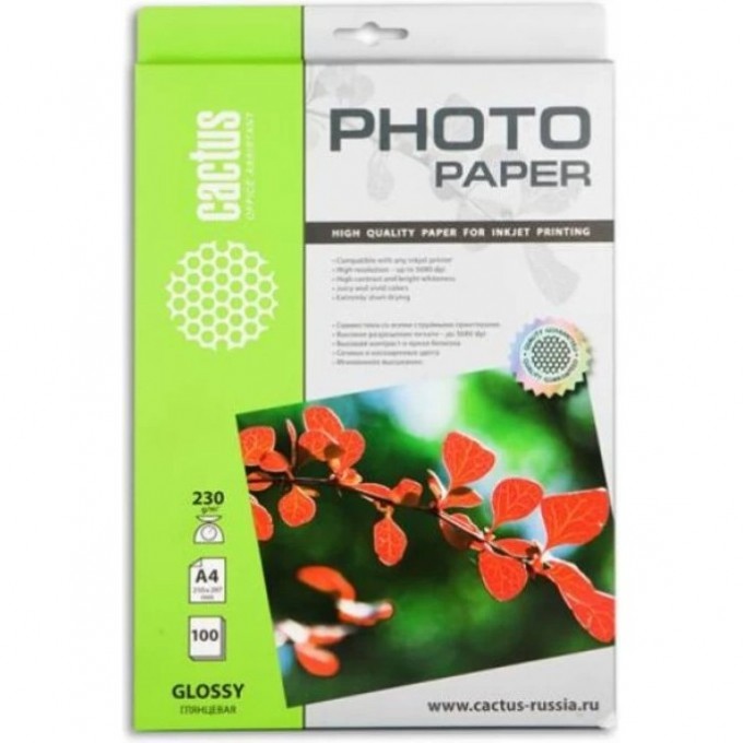 Фотобумага CACTUS , формат A4, 230г/м2, белая CS-GA4230100 Фотобумага CACTUS , формат A4, 230г/м2, белая CS-GA4230100