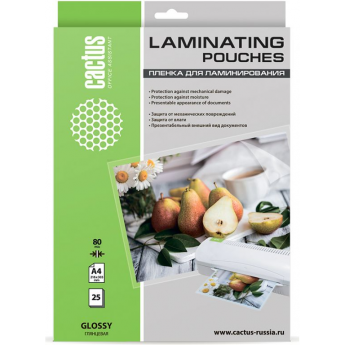 Пленка для ламинирования CACTUS глянцевая, 216x303мм, CS-LPGA48025 Пленка для ламинирования CACTUS глянцевая, 216x303мм, CS-LPGA48025